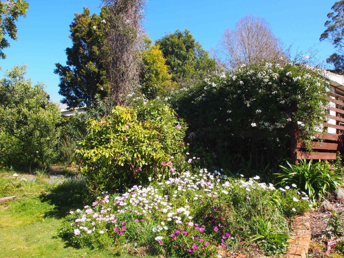 Cosy, comfortable Cottage - views&location plus Beauty Point Extérieur photo